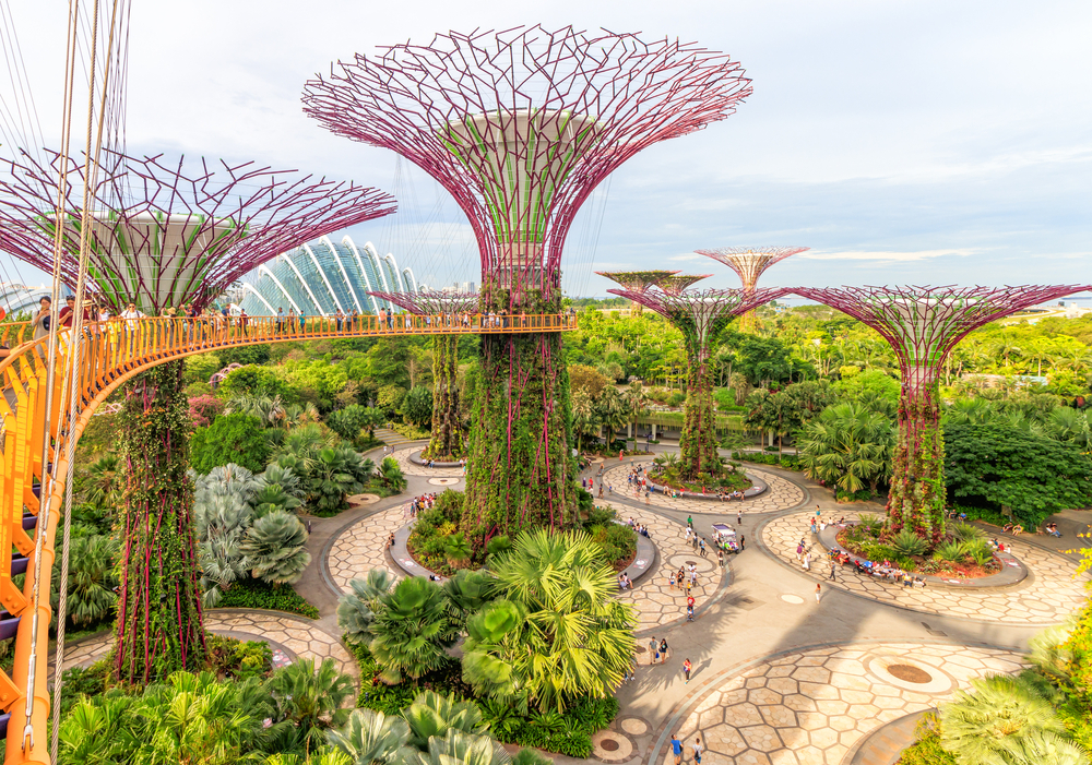 Singapore large trees exhibit 