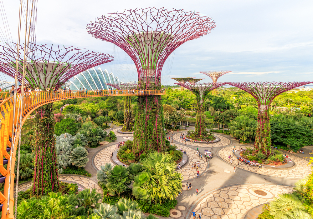Singapore large trees exhibit