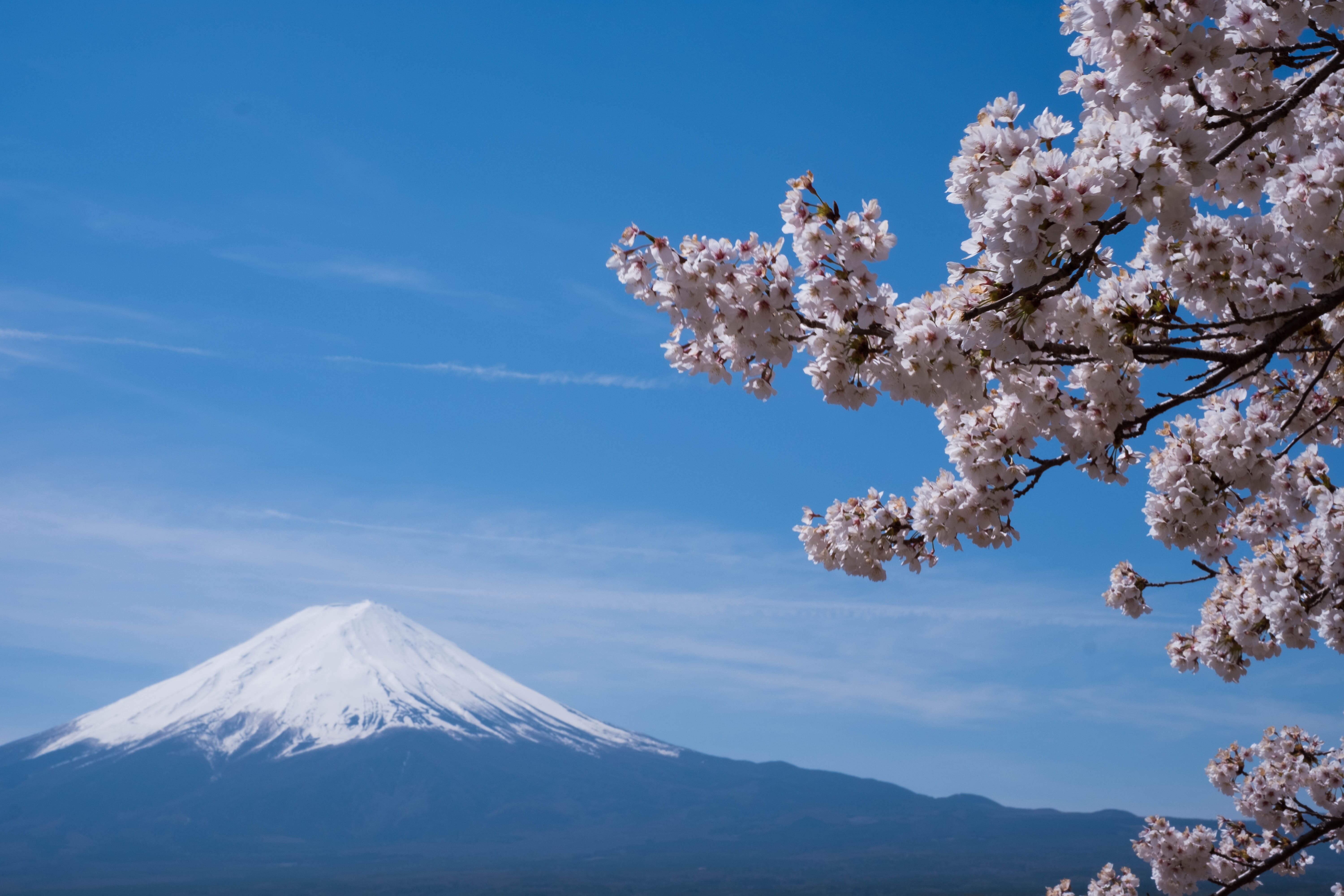Mt Fuji